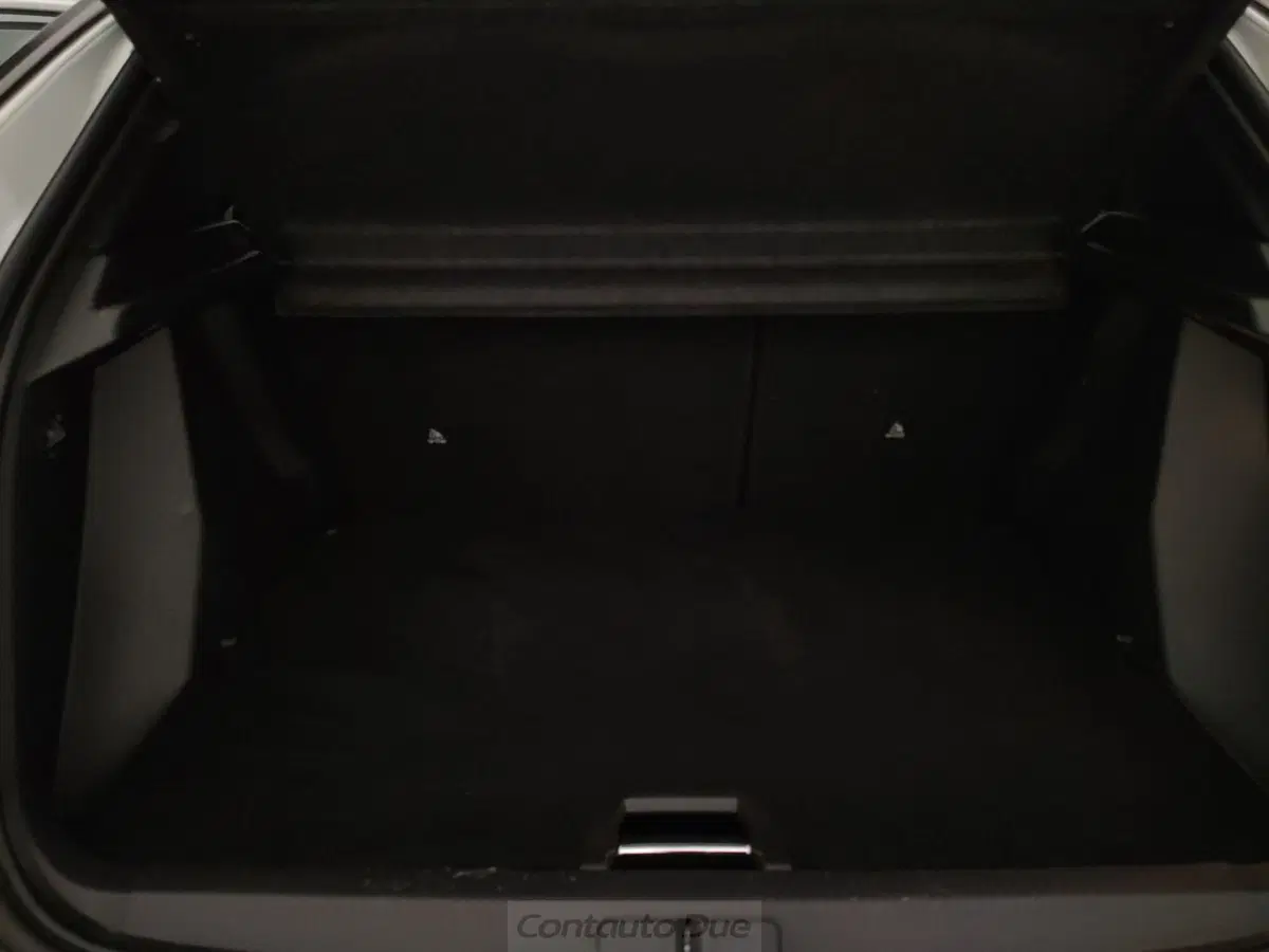 Peugeot 2008 usata a Caserta (10)