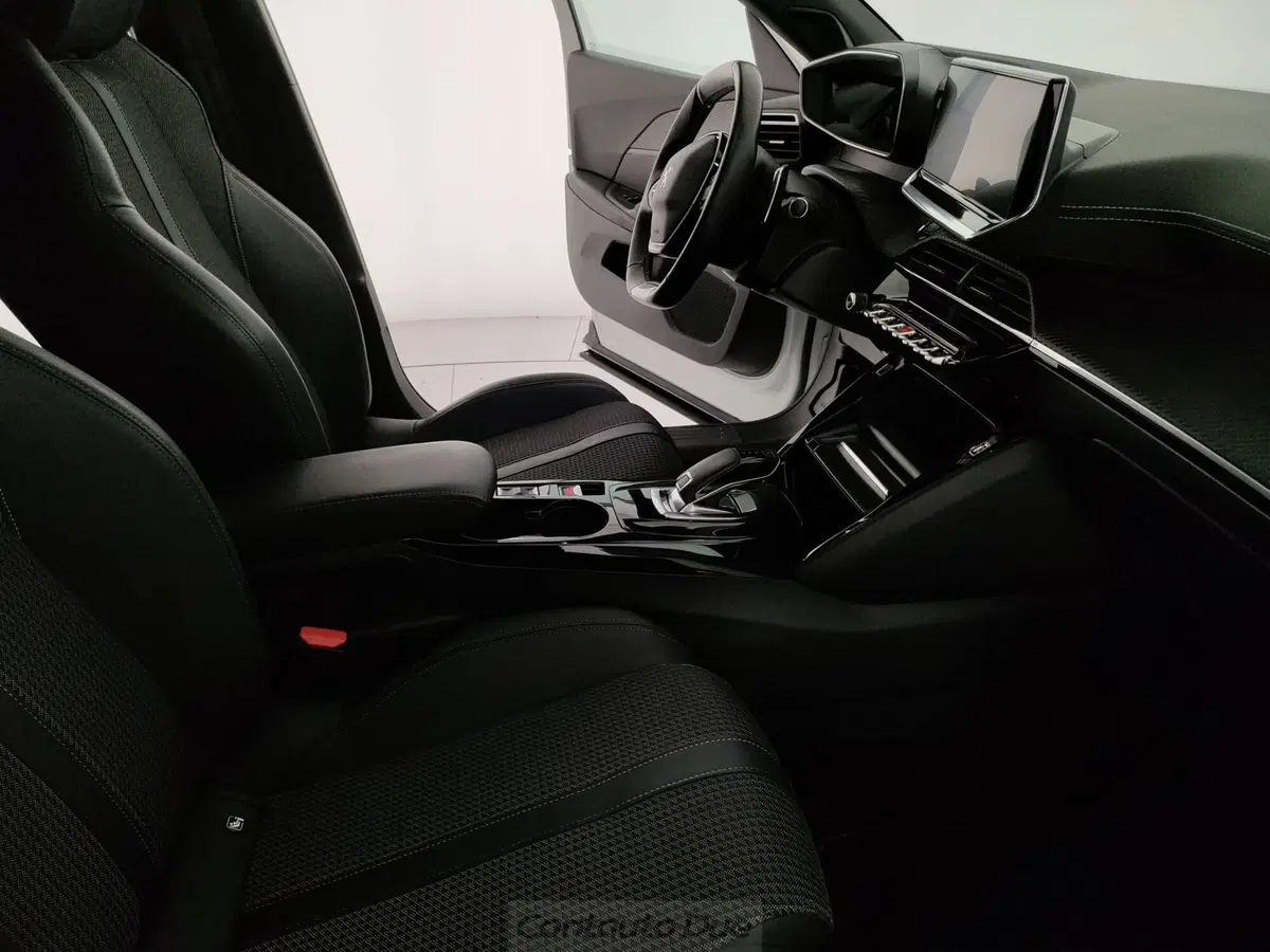 Peugeot 2008 usata a Caserta (19)