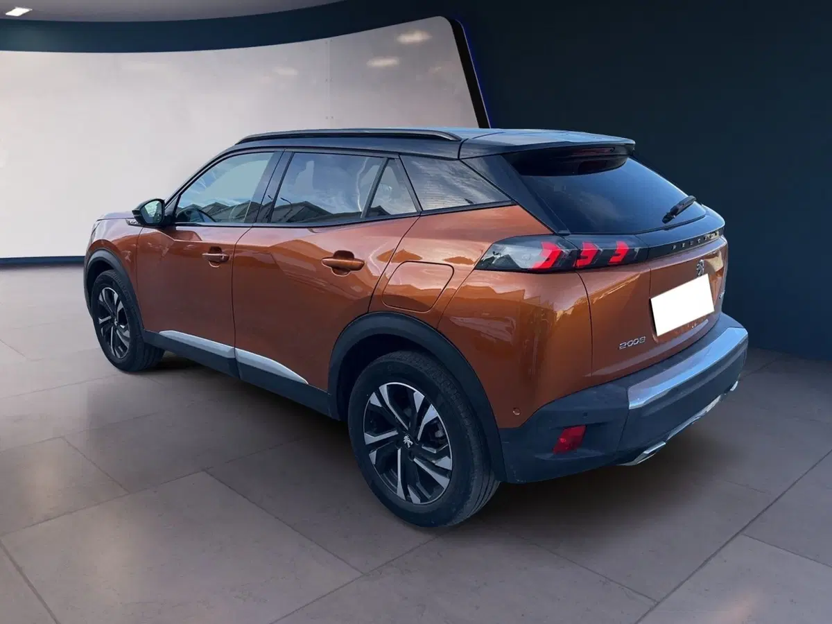 Peugeot 2008 usata a Torino (6)