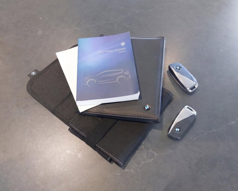 BMW X1 usata a Frosinone (15)