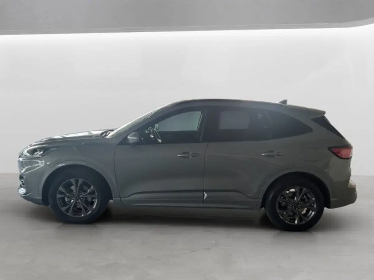 Ford Kuga usata a Cuneo (4)