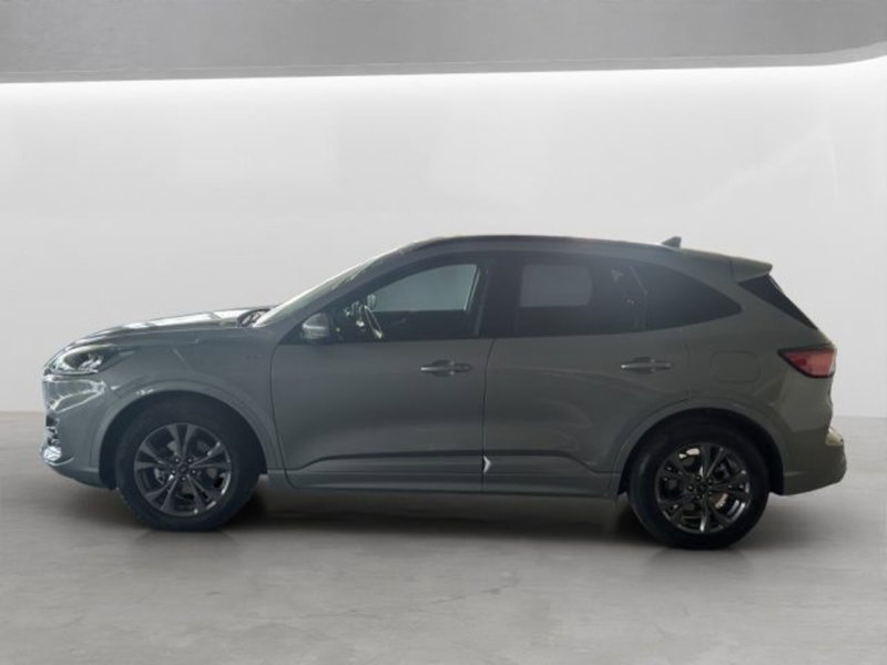 Ford Kuga usata a Cuneo (4)