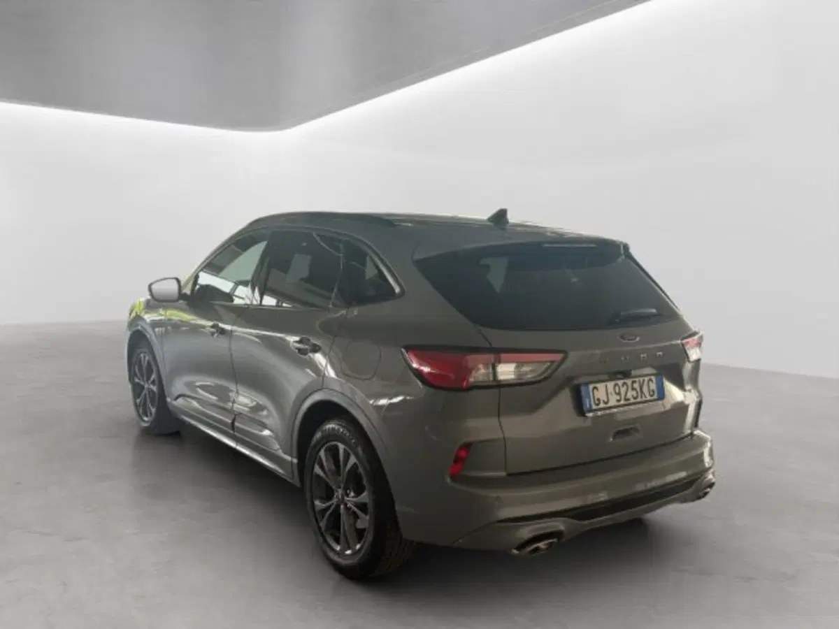 Ford Kuga usata a Cuneo (5)
