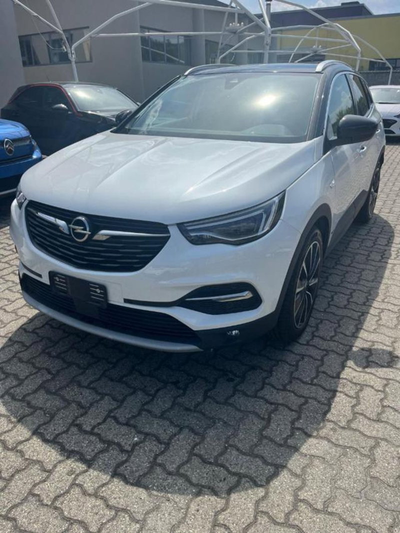 Opel Grandland X usata a Savona (2)