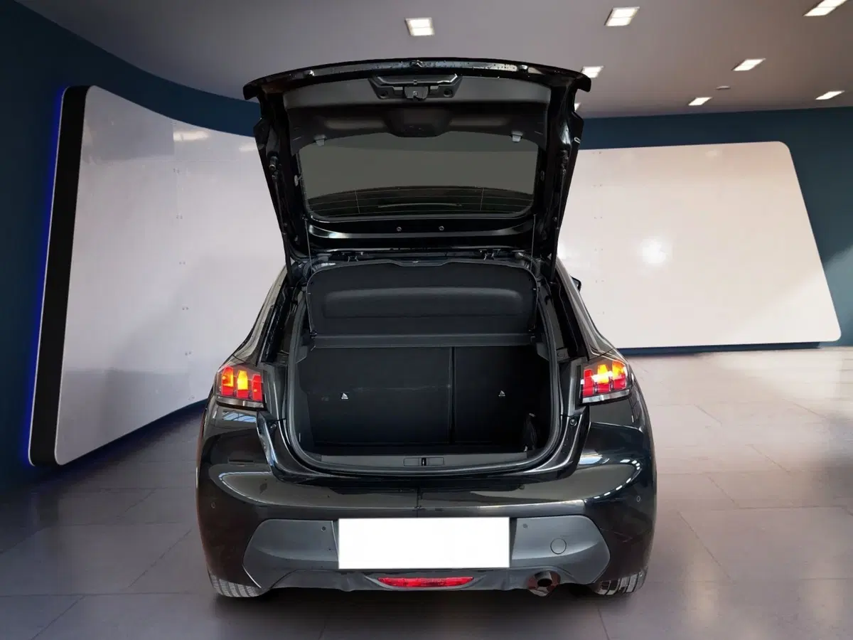 Peugeot 208 usata a Torino (7)