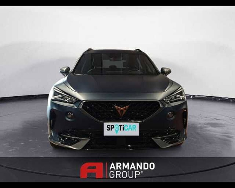 Cupra Formentor usata a Cuneo (2)