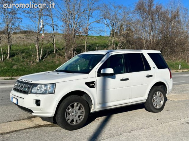 Land Rover Freelander usata a Campobasso (11)