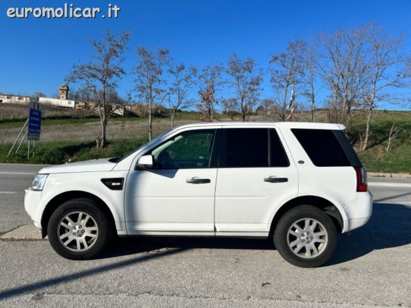 Land Rover Freelander usata a Campobasso (2)