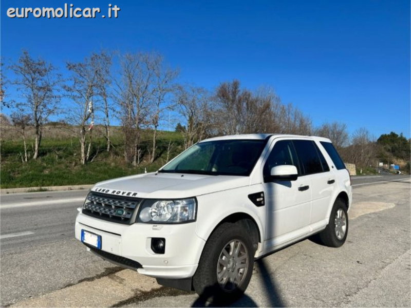 Land Rover Freelander usata a Campobasso (4)