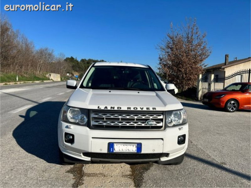 Land Rover Freelander usata a Campobasso (5)