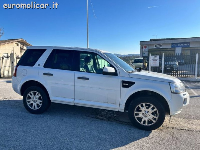 Land Rover Freelander usata a Campobasso (6)