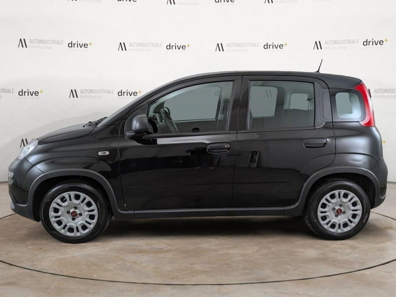 Fiat Panda usata a Bolzano (2)