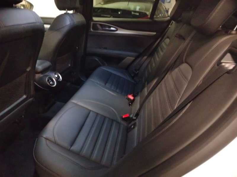 Alfa Romeo Stelvio usata a Forlì-Cesena (13)