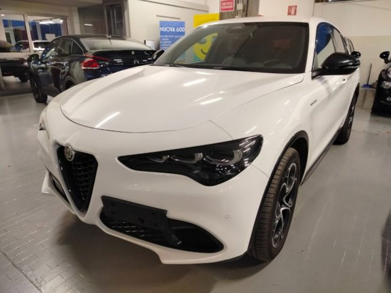 Alfa Romeo Stelvio usata a Forlì-Cesena (3)