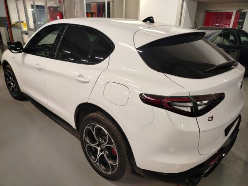 Alfa Romeo Stelvio usata a Forlì-Cesena (8)