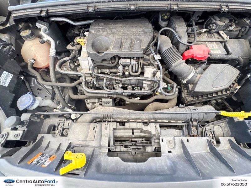 Ford Puma usata a Roma (12)