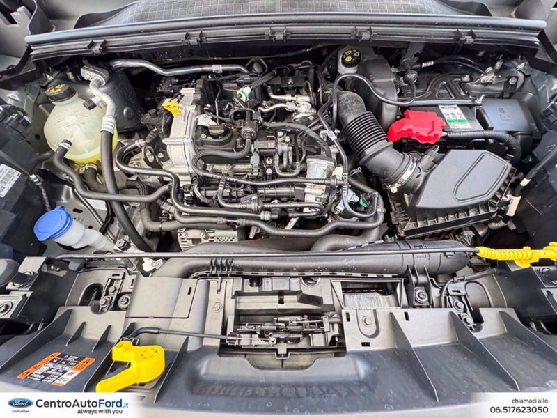 Ford Puma usata a Roma (12)