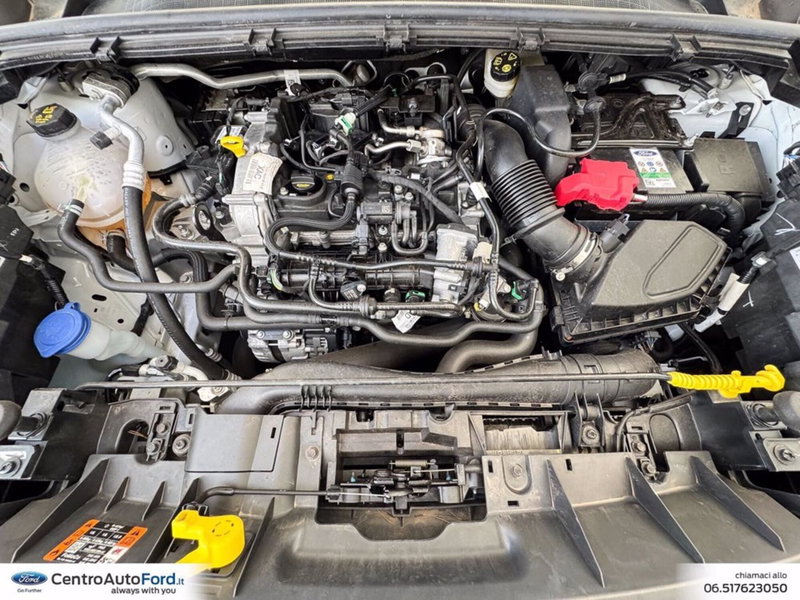 Ford Puma usata a Roma (12)