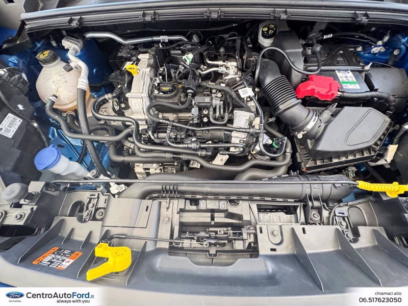 Ford Puma usata a Roma (12)