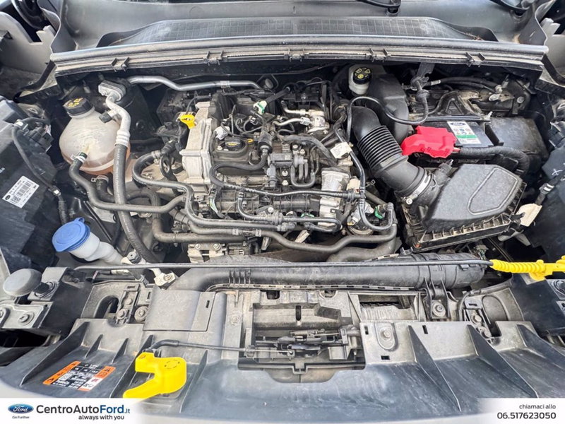 Ford Puma usata a Roma (12)