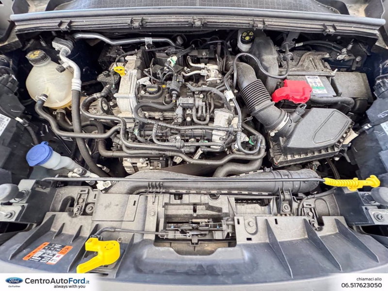 Ford Puma usata a Roma (12)