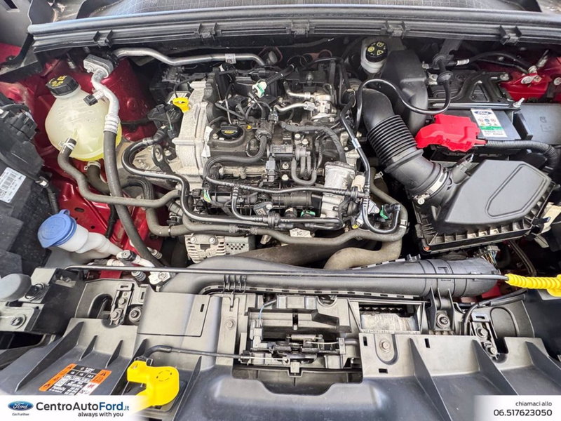 Ford Puma usata a Roma (12)