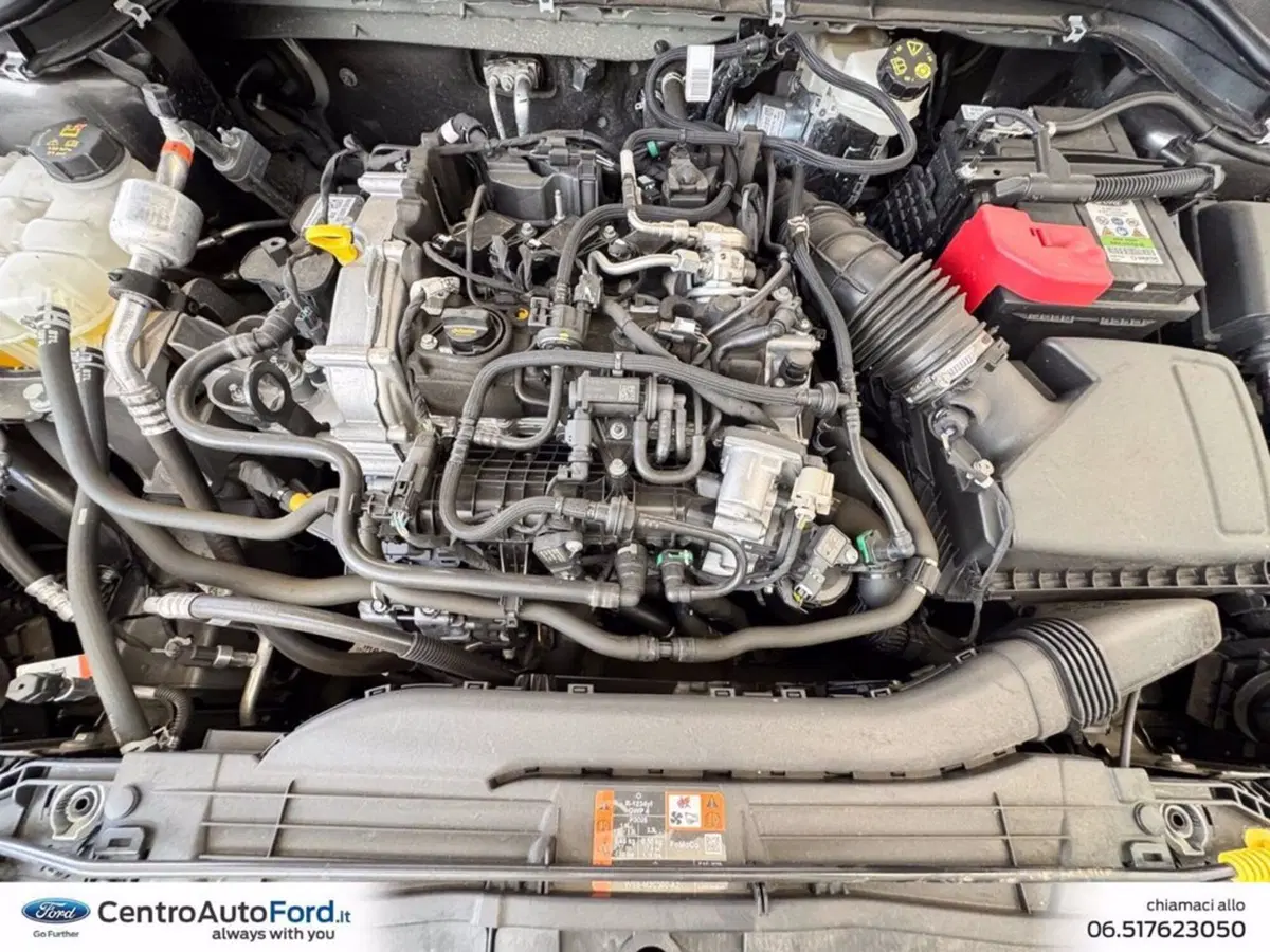 Ford Focus usata a Roma (12)