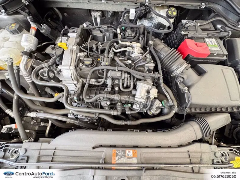 Ford Focus usata a Roma (12)