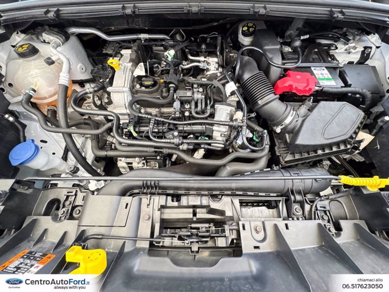 Ford Puma usata a Roma (12)