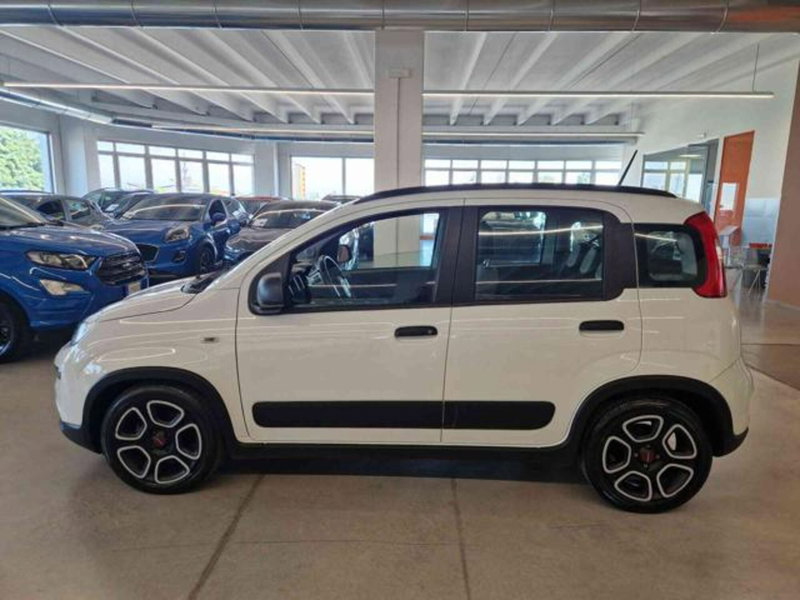 Fiat Panda usata a Bologna (7)