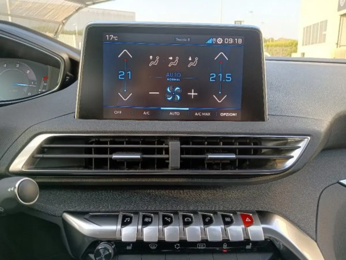 Peugeot 3008 usata a Brescia (16)
