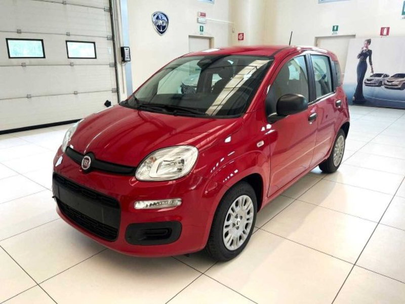 Fiat Panda nuova a Sondrio