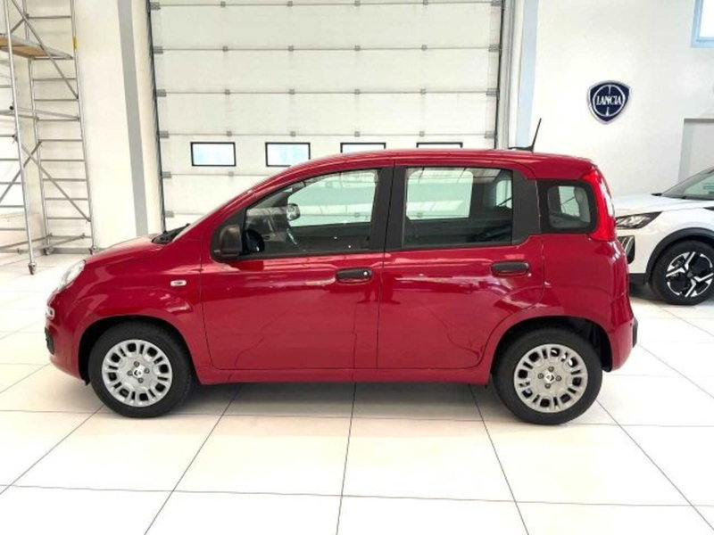 Fiat Panda nuova a Sondrio (2)