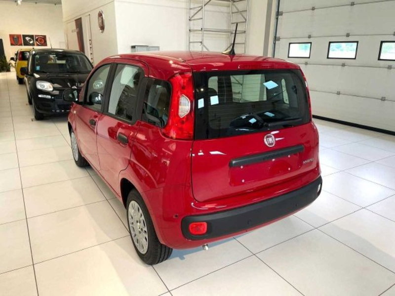 Fiat Panda nuova a Sondrio (3)