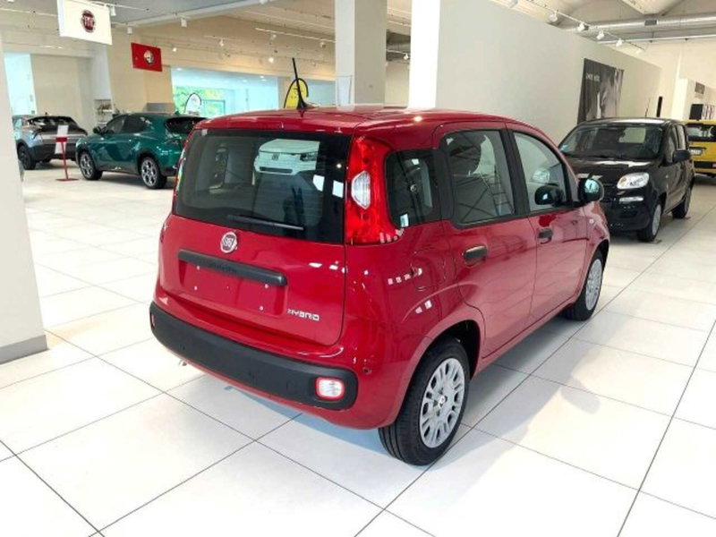 Fiat Panda nuova a Sondrio (5)