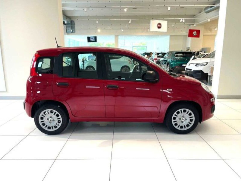 Fiat Panda nuova a Sondrio (6)