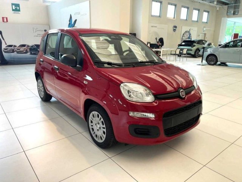 Fiat Panda nuova a Sondrio (7)