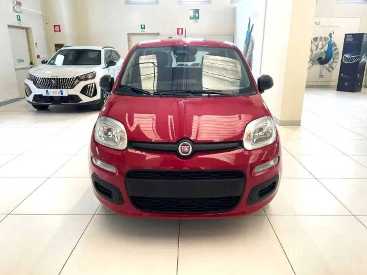 Fiat Panda nuova a Sondrio (8)