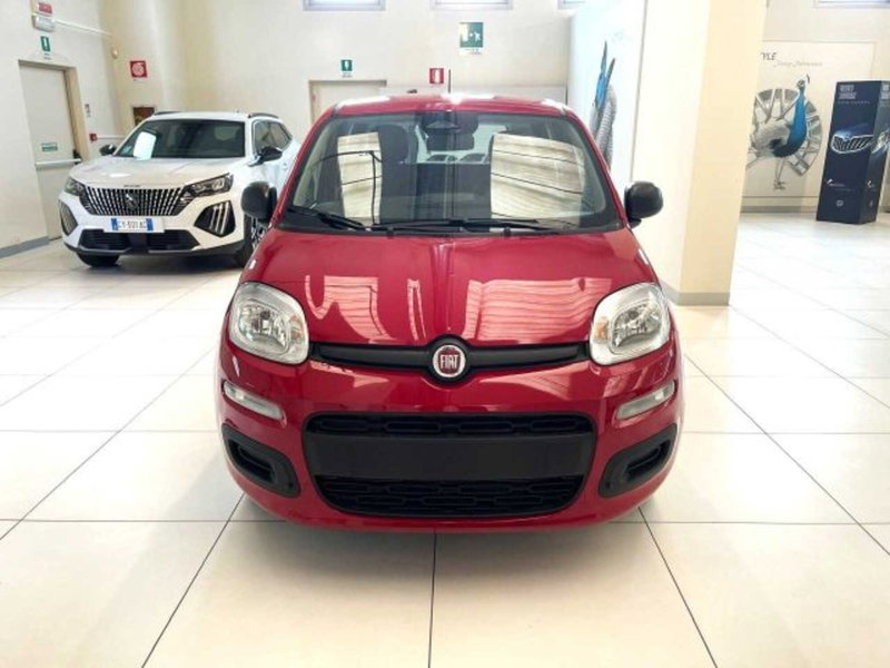 Fiat Panda nuova a Sondrio (8)