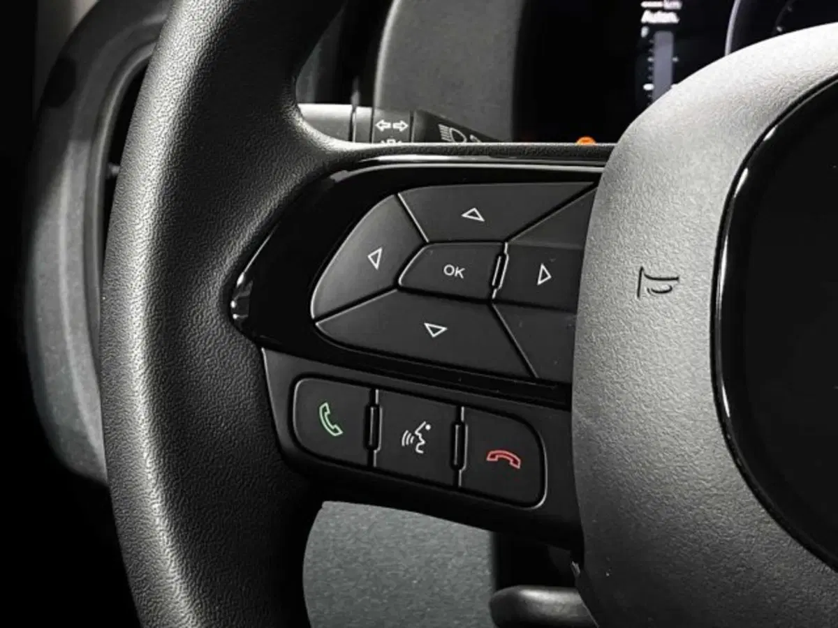 Fiat Panda nuova a Sondrio (19)