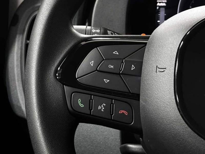 Fiat Panda nuova a Sondrio (19)