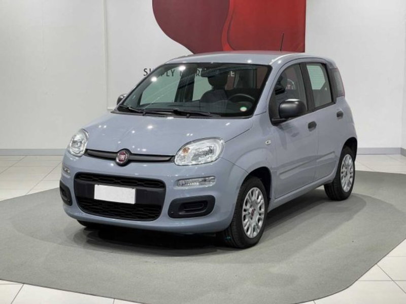 Fiat Panda usata a Sondrio