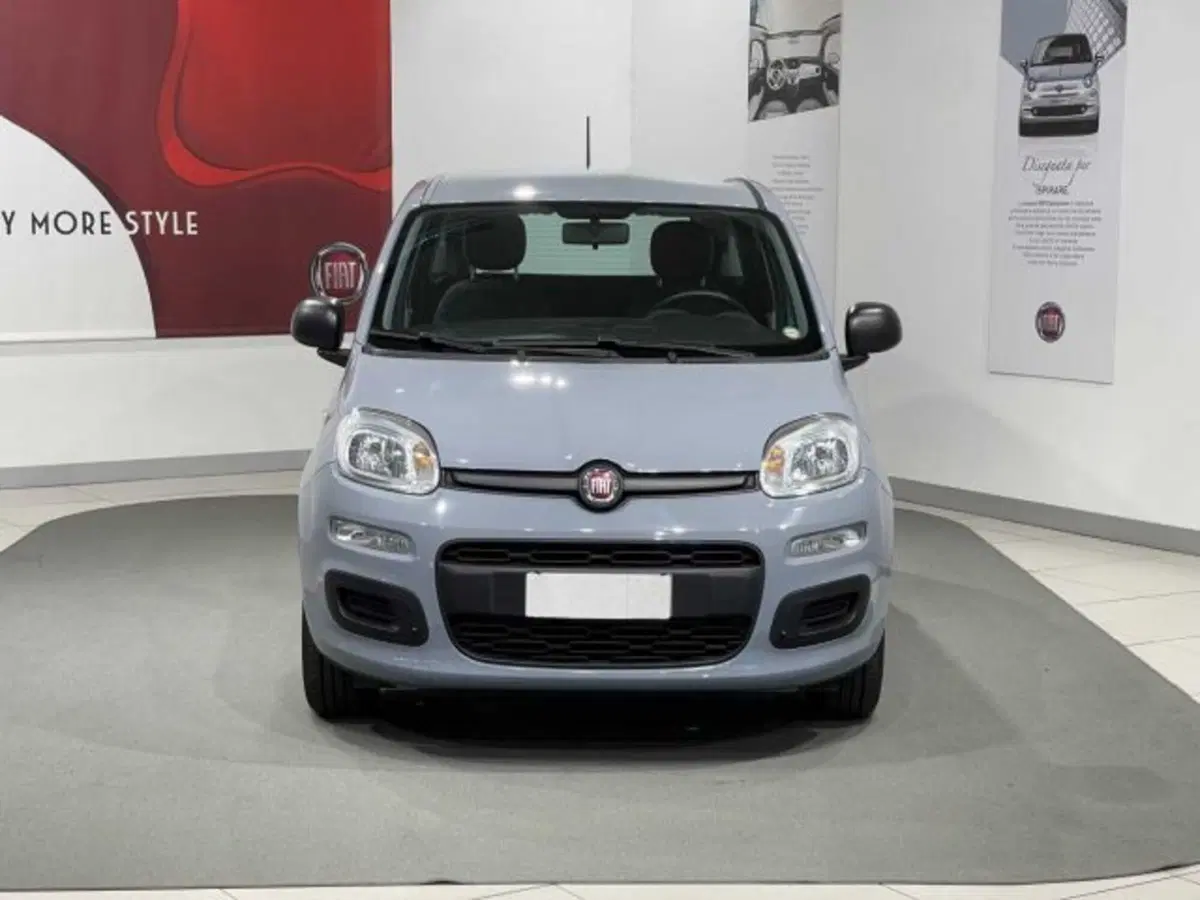 Fiat Panda usata a Sondrio (2)