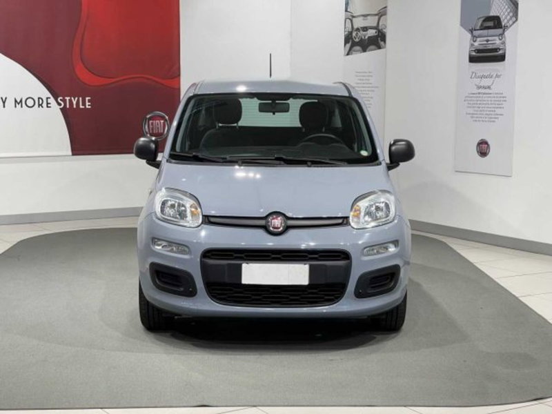 Fiat Panda usata a Sondrio (2)