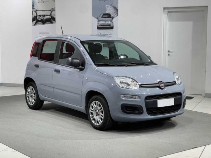 Fiat Panda usata a Sondrio (3)