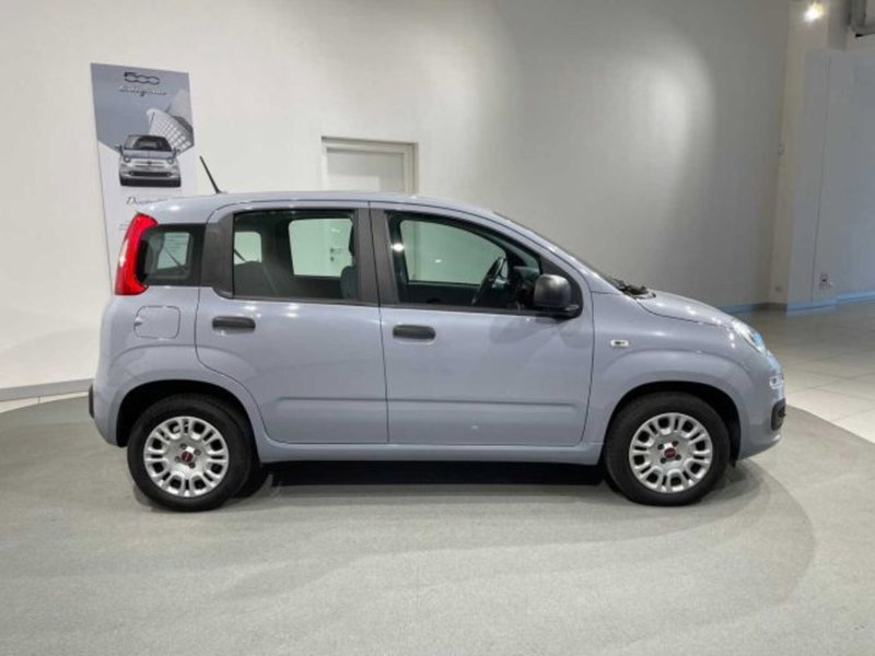 Fiat Panda usata a Sondrio (4)