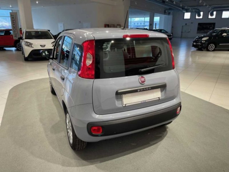 Fiat Panda usata a Sondrio (7)