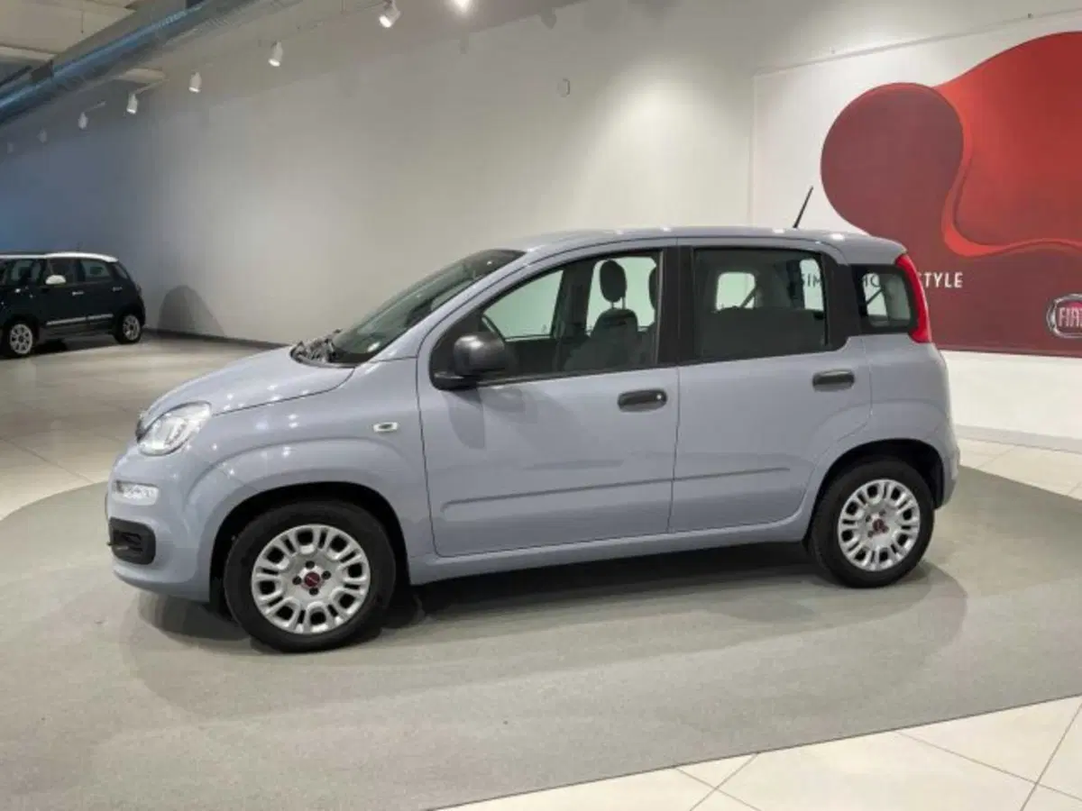 Fiat Panda usata a Sondrio (8)