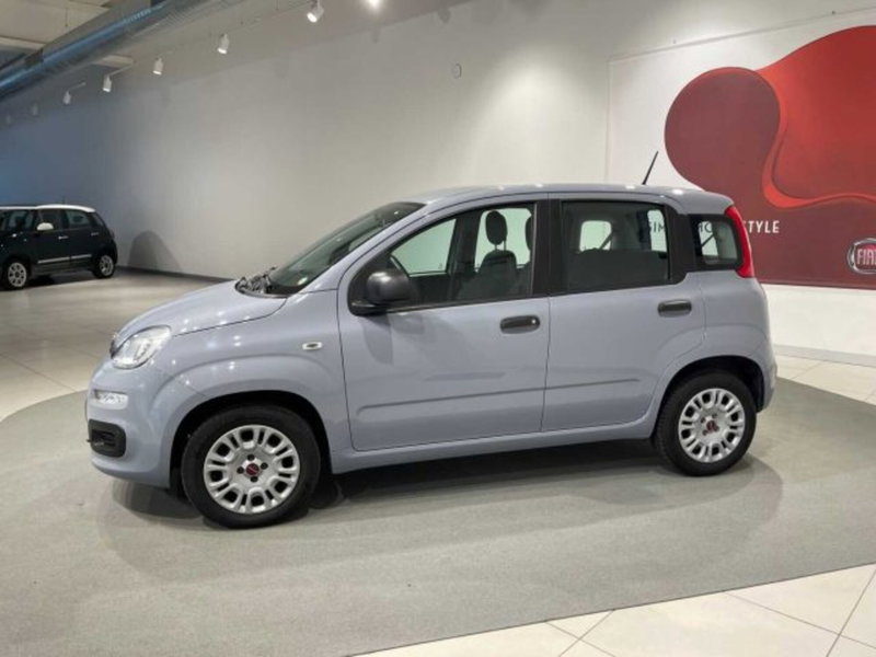 Fiat Panda usata a Sondrio (8)