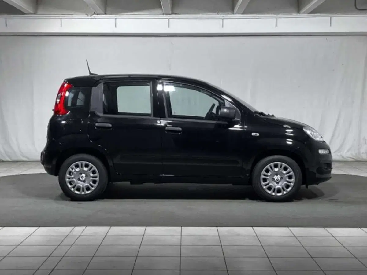 Fiat Panda nuova a Sondrio (6)